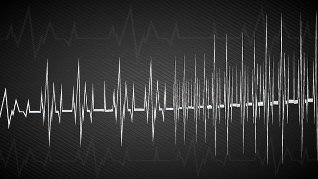 Fuerte temblor se registró en la zona central