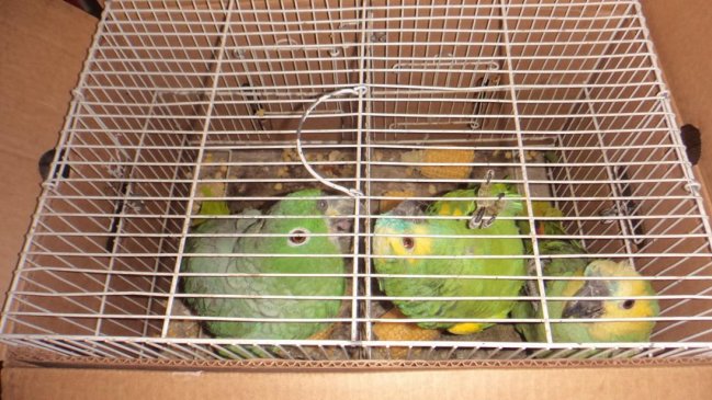 Imagen foto_00000015