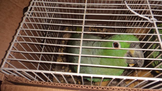 Imagen foto_00000016