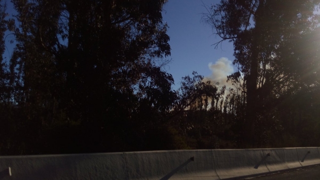 Incendio forestal cercano a Ruta 68 obligó a decretar alerta roja en Valparaíso