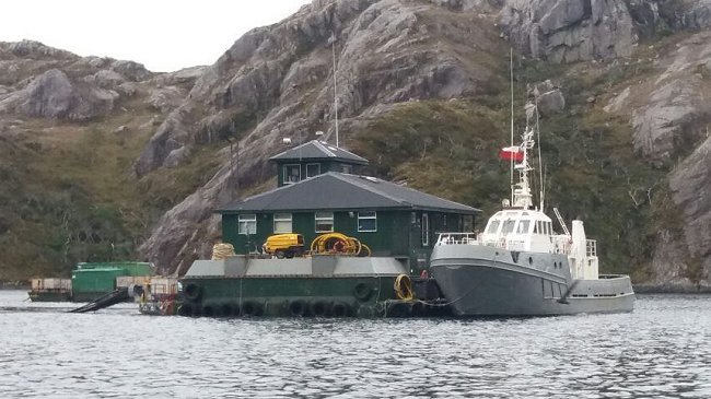 Trabajador de salmonera 