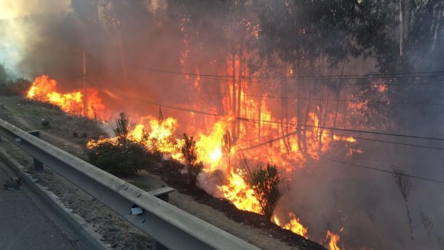 Onemi declaró Alerta Roja para Valparaíso y Viña del Mar por incendio forestal