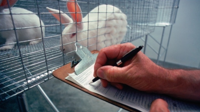 El ISP vendió 235.510 animales para pruebas científicas en 2016