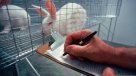El ISP vendió 235.510 animales para pruebas científicas en 2016