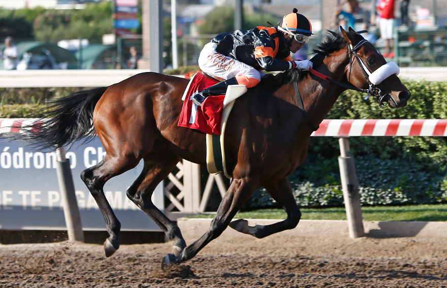 Kurilov se adjudicó el Gran Premio Hipódromo Chile