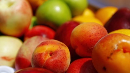 Hecho por Chile: El apoyo a la internacionalización de la industria de alimentos