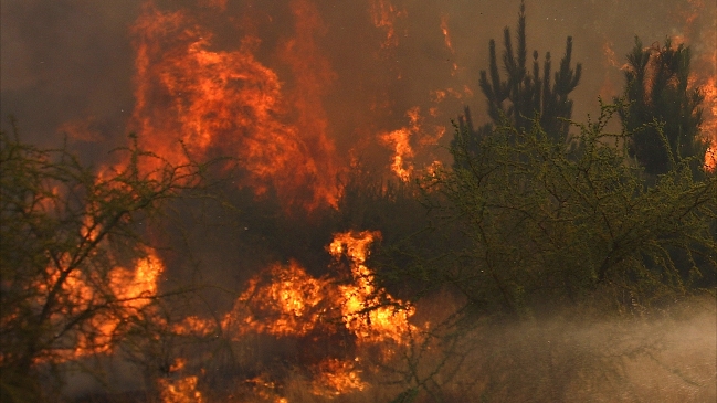 Incendios en el norte de Japón obligan a evacuar a más de 700 personas