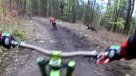 Oso pardo persiguió y aterrorizó a ciclistas en Eslovaquia