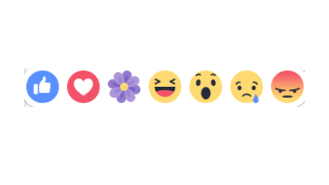 ¿Por qué Facebook está inundado de flores lila?
