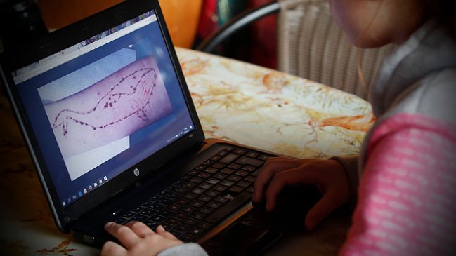 Los proyectos de ley que buscan penar a la 