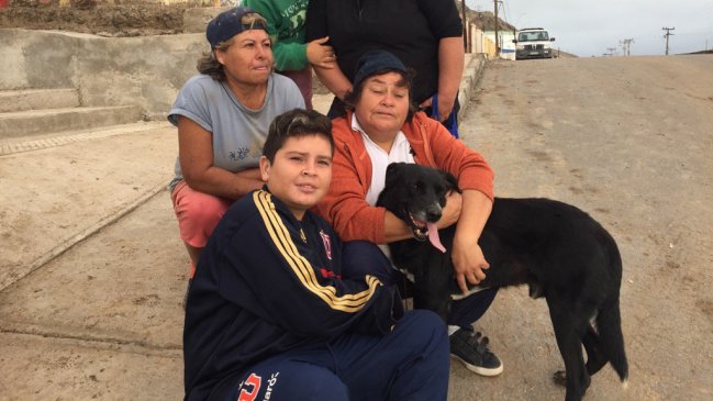 La historia del perro que rescató del barro a sus dueños en Chañaral