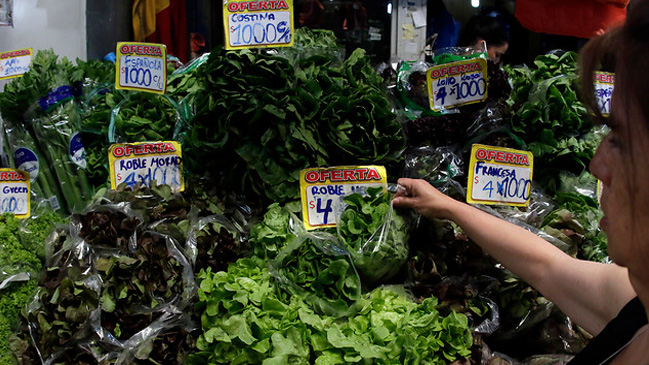 Advierten que heladas otoñales provocarán caída en la oferta de hortalizas