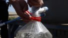 Alerta por presencia de Escherichia coli en el agua potable de Puerto Fuy