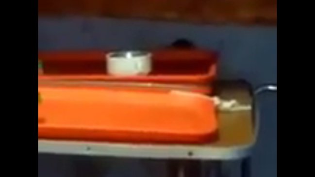 Video revela las malas condiciones sanitarias de hogar de ancianos en Concepción