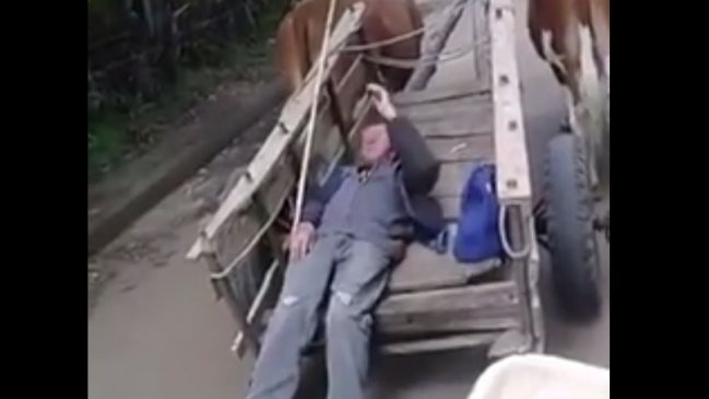 Hombre de campo fue despertado de su siesta de forma poco amigable