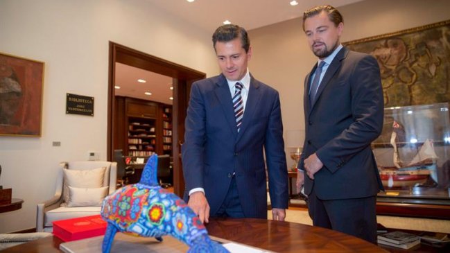 Leonardo DiCaprio viene a Chile a congreso ecológico