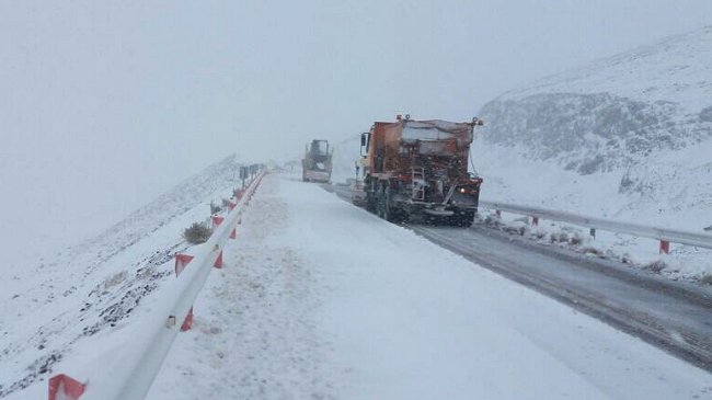 Más de 100 personas 