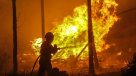 La lucha contra el fuego en Portugal \