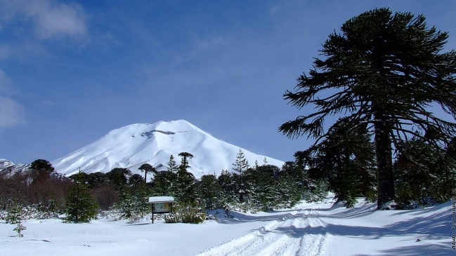 Buscan a 11 personas desaparecidas en el volcán Lonquimay
