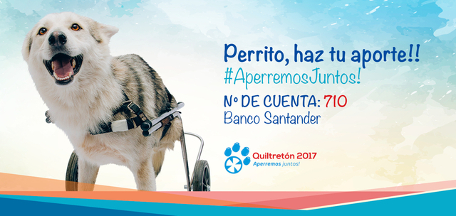 Fundación Quiltrería presentó iniciativa 