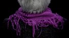 Los genes de la esquizofrenia protegen del Alzheimer, según un estudio