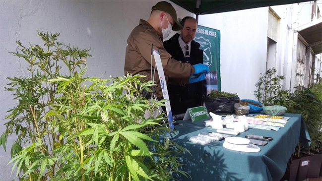 OS-7 detuvo a banda dedicada al tráfico de cocaína y marihuana en el Maule