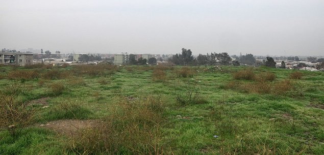 Imagen foto_00000017