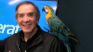 Tus Años Cuentan: Los atractivos del Aviarium de Chicureo