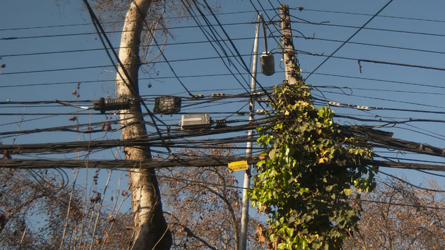SEC: Mantención de tendido eléctrico es responsabilidad de las empresas