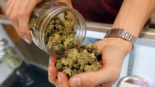 Cliente se vengó de su proveedor por venderle marihuana de baja calidad