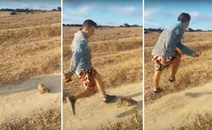 Policía española busca a joven que pateó a un conejo