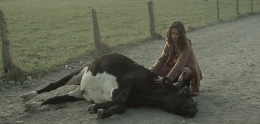 Filmes de Argentina, Colombia y Chile en Nuevos Directores en San Sebastián