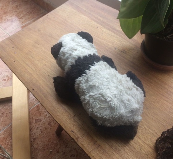 Imagen foto_00000002