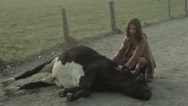 Filmes de Argentina, Colombia y Chile en Nuevos Directores en San Sebastián