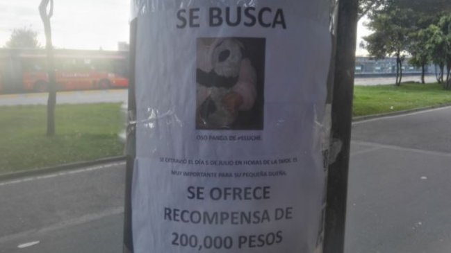 Oso de peluche perdido apareció en Colombia y viajará a China