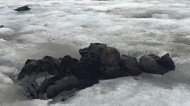 Imagen foto_00000033