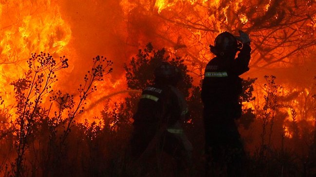 Hombre confesó autoría de dos incendios forestales en Collipulli
