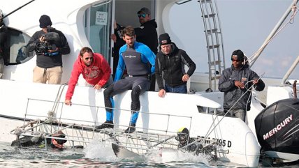 El particular desafío que enfrentó a Michael Phelps con un tiburón blanco