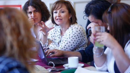   Diputada Hernando: Los pareos reglamentariamente no existen 