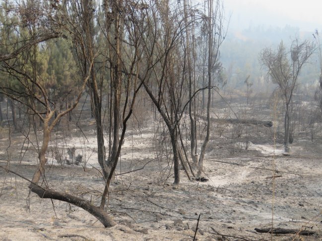 Imagen foto_00000015