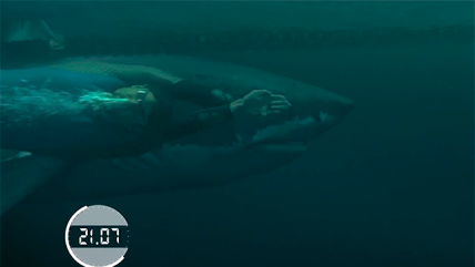 Revisa la competencia entre Michael Phelps contra un tiburón blanco