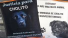 Lo que arriesgan quienes infrinjan la nueva \