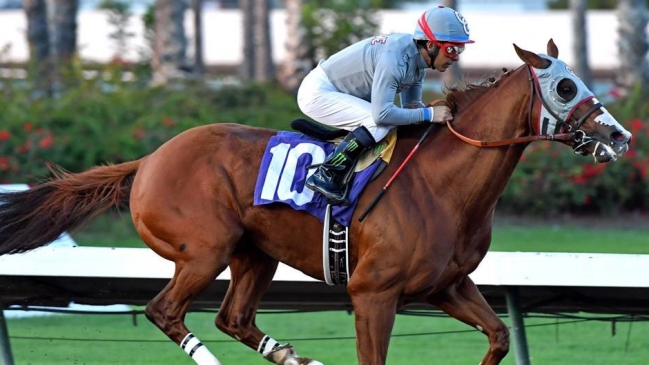 California Chrome, el 