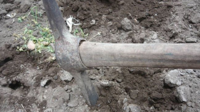 Condenan a muerte un hombre que asesinó a 19 personas en China