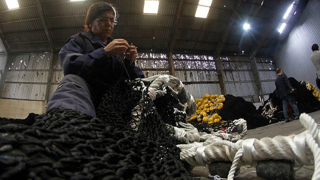 Desempleo se mantuvo en un 7 por ciento en trimestre abril-junio