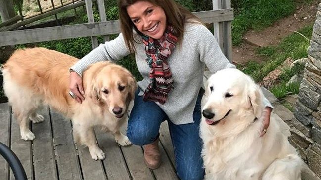 Carolina Arregui subió fotos con perros de Alexis Sánchez y generó debate