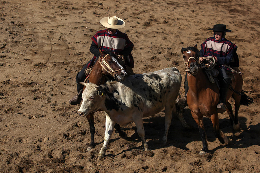 No habrá rodeo en las fondas del Estadio Nacional
