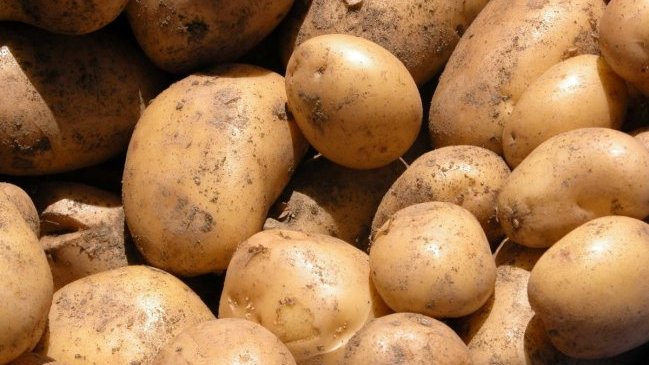 Juez mexicano prohíbe importación de papas de EEUU por riesgo de plagas