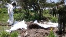 Autoridades hallaron 14 cuerpos en una fosa clandestina del centro de México