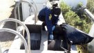 PDI investiga hallazgo de un feto en planta de tratamiento de aguas servidas